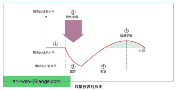 奥格斯堡康复周期管理，分阶段训练降低复发风险